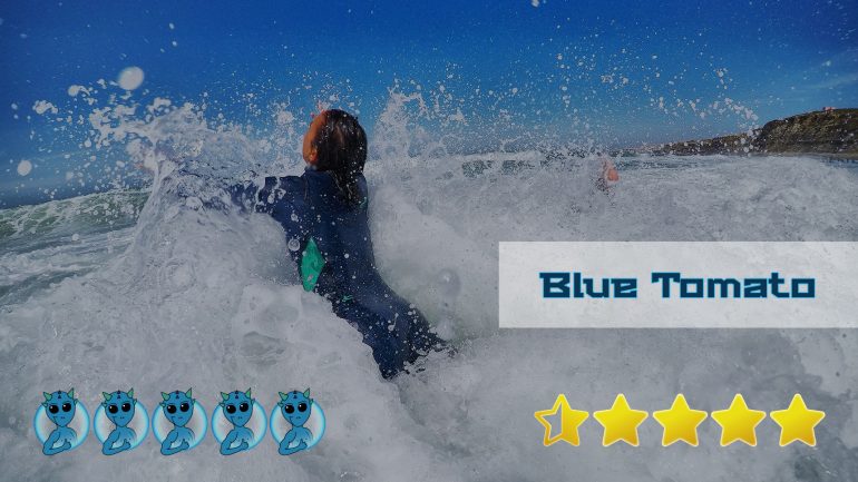 test und bewertung des blue tomato onlineshops für surfer