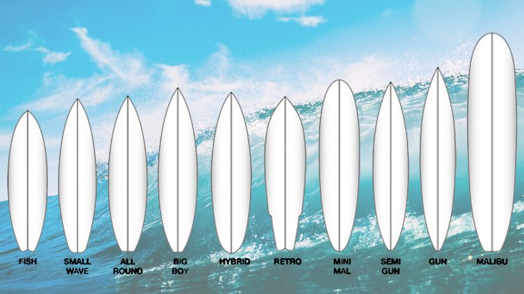 die verschiedenen Varianten und Möglichkeiten der Shapes von Surfboards