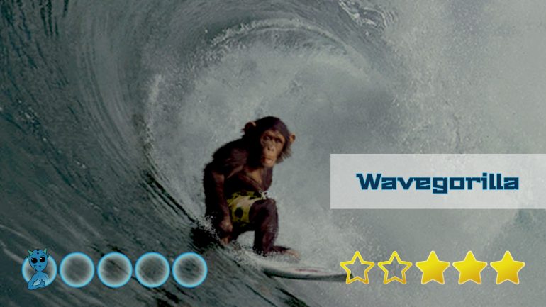 bewertung und test des wavegorilla surfboard shops