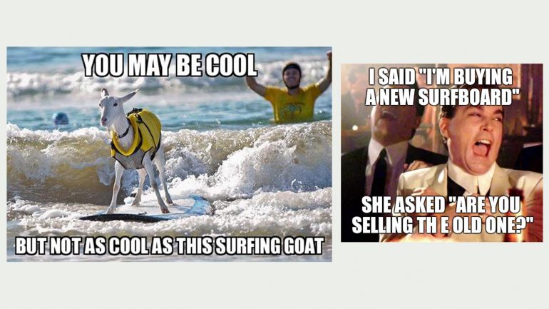surfboard meme surfende ziege